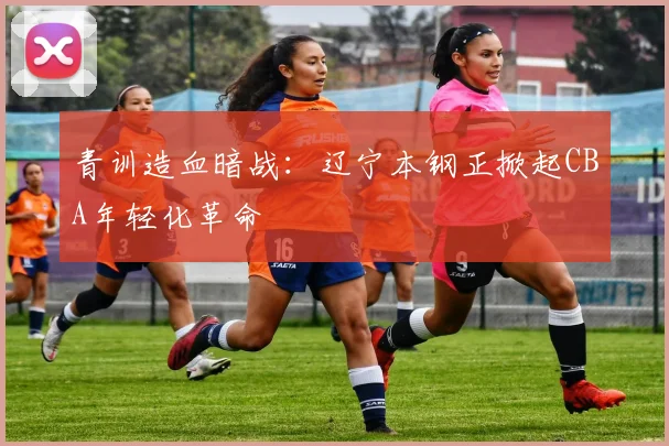 青训造血暗战：辽宁本钢正掀起CBA年轻化革命